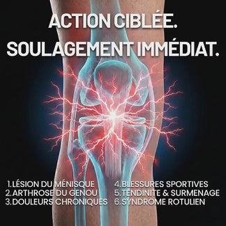 Sangle rotulienne